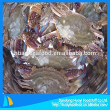 supplier of various frozen best quality blue swimming crab